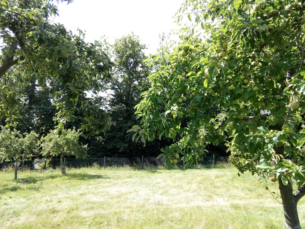 Relaxing in the green for a longer stay