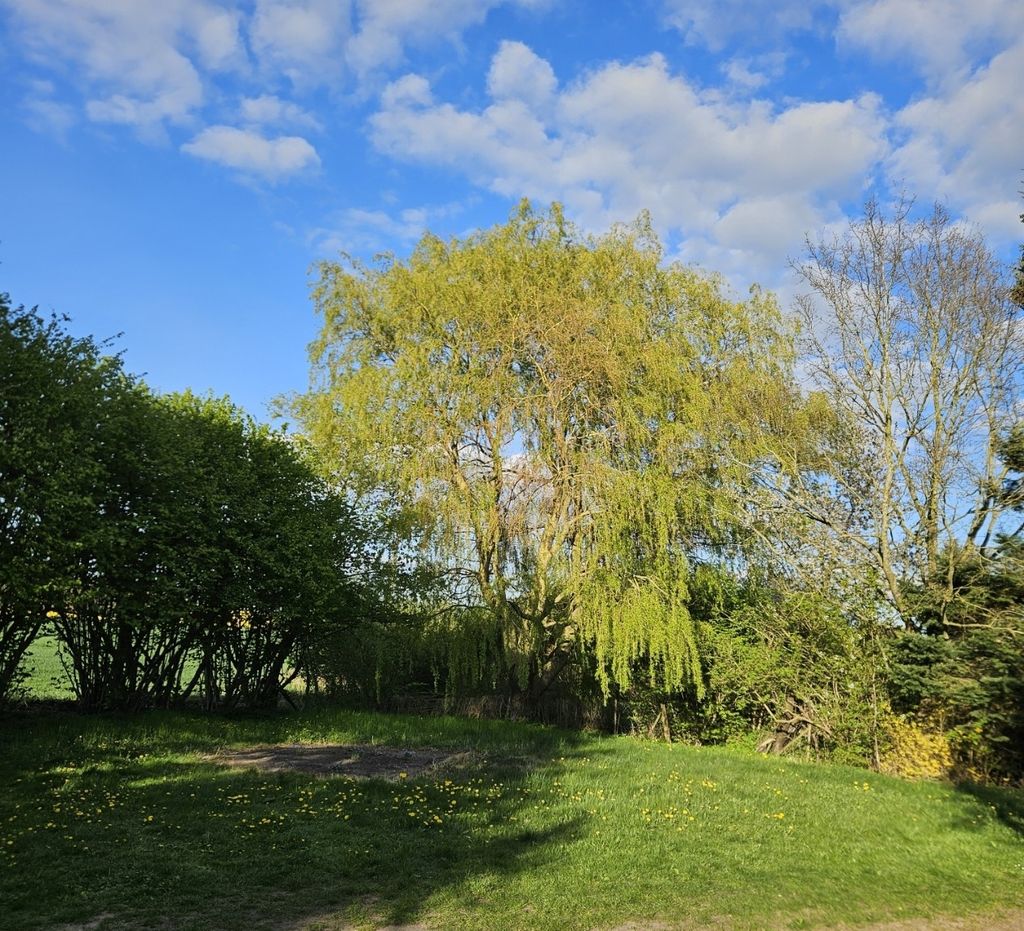 Entspannter Stellplatz nahe der Ostsee – im Grünen