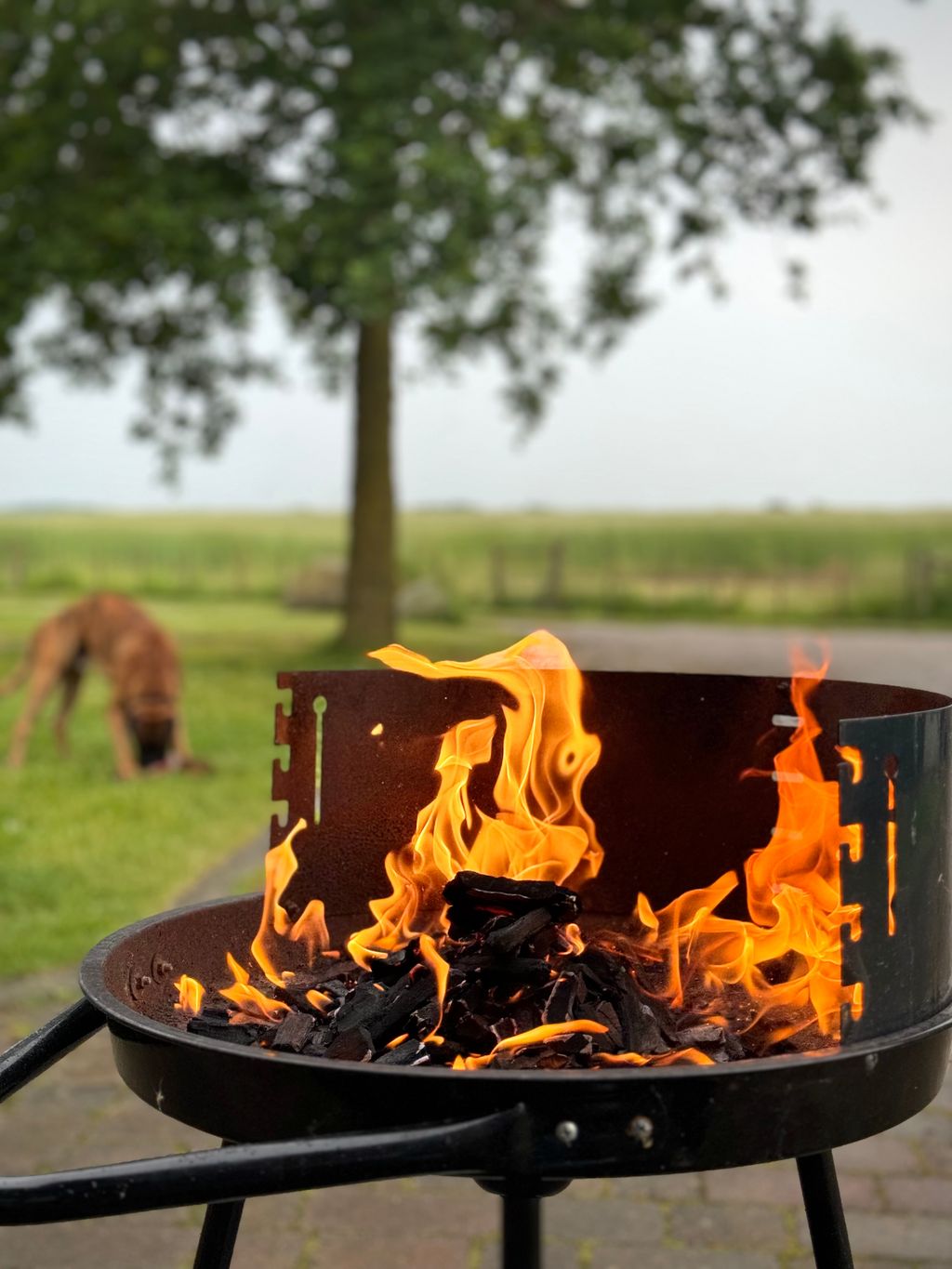 Camping auf dem Bauernhof in Stahlbrode