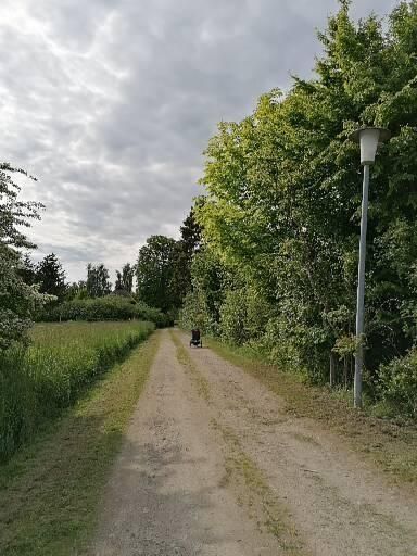 Un coin de nature calme dans la verdure près de Stralsund