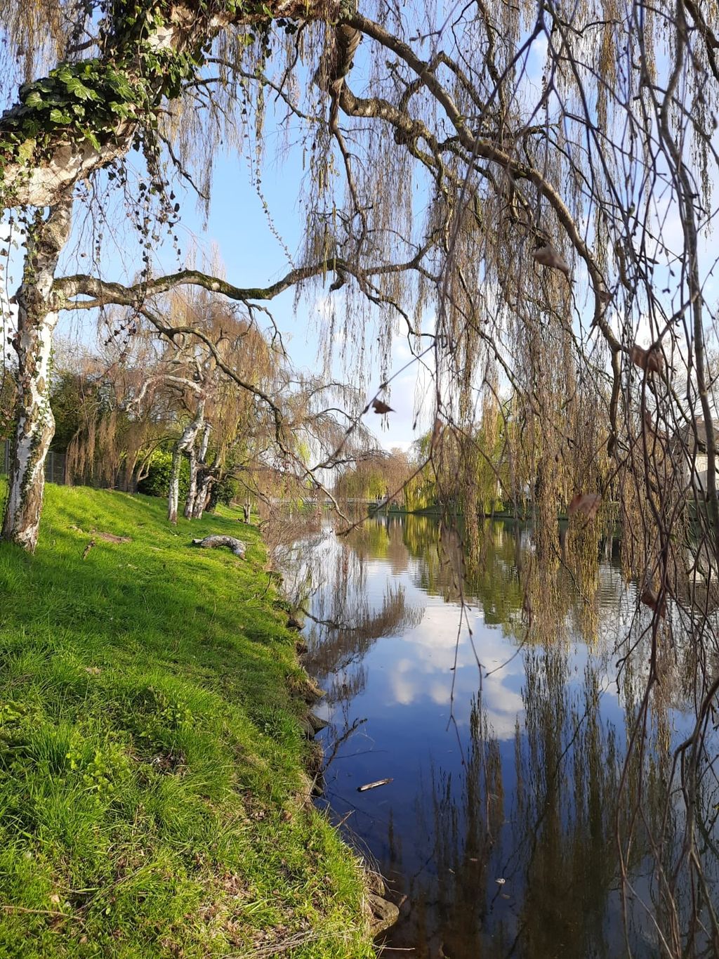 Prairie naturelle au bord de la rivière : canoë, vélo et culture à Herford