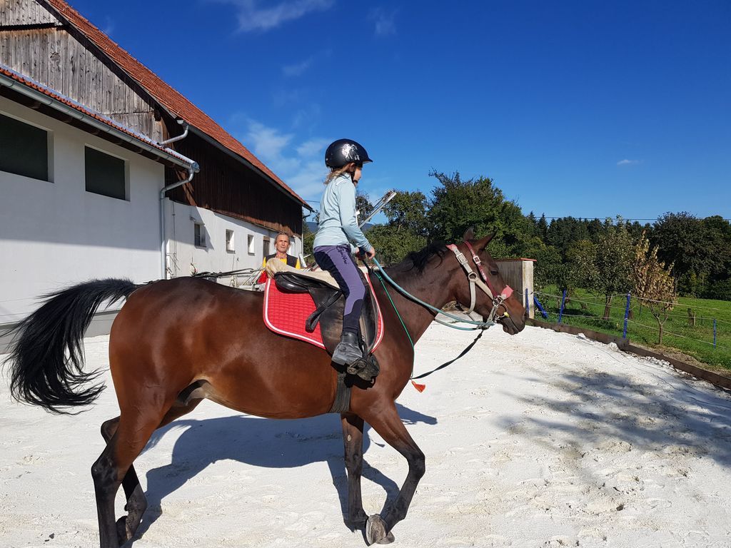 Tipi al Ranch Skill Horse