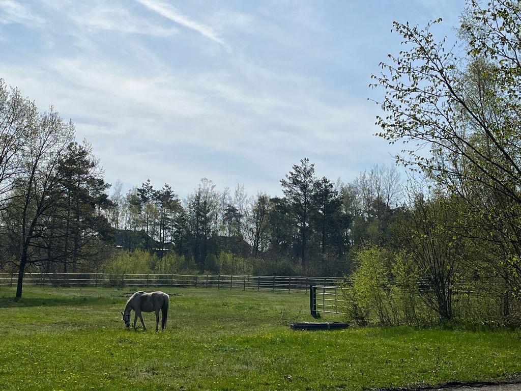 Country idyll on the estate