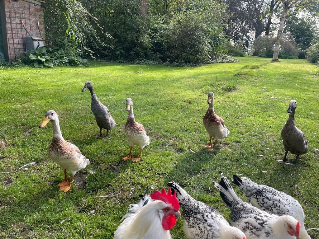 Farm directly on the dike with farm café