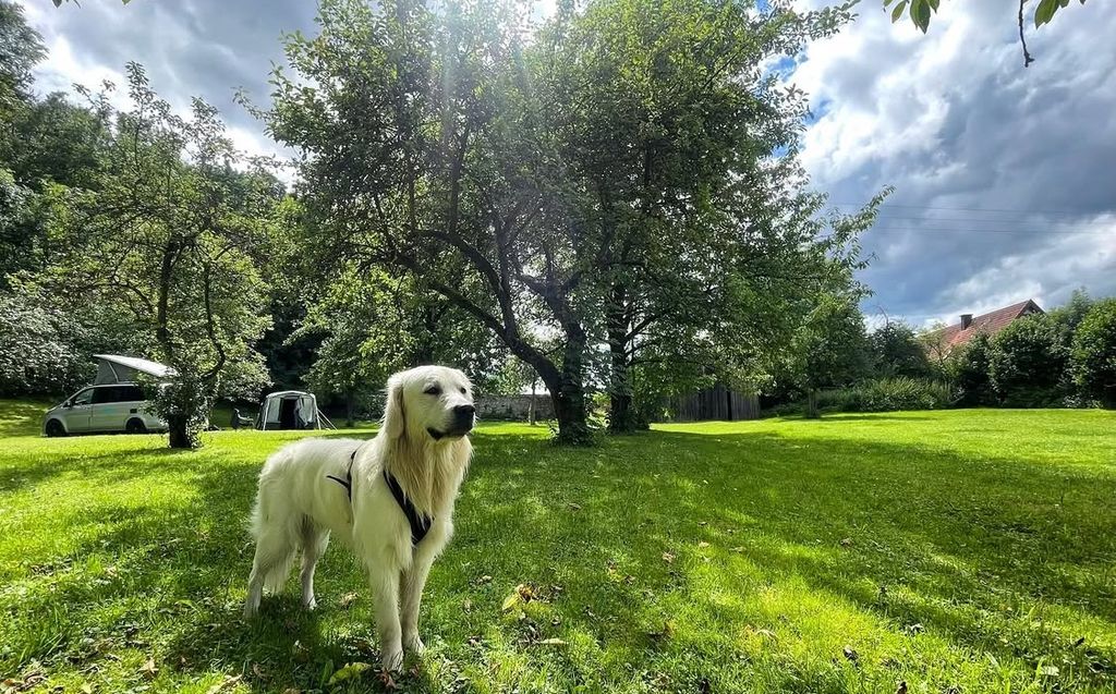 Rappengarten: Naturcamping zwischen Wald und Bach