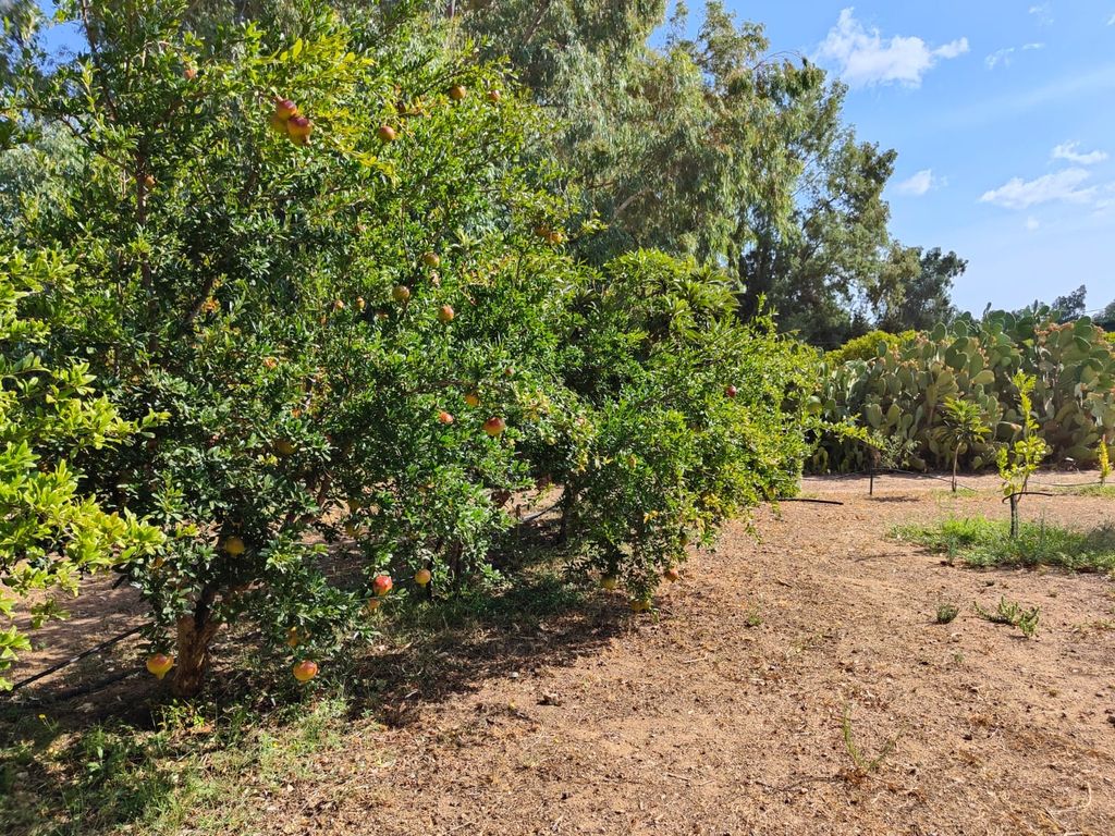 Pause numérique - Tiny House Retreat Sardaigne