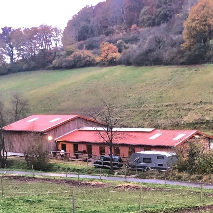 Am Pferdehof - Alleinlage direkt am Waldrand