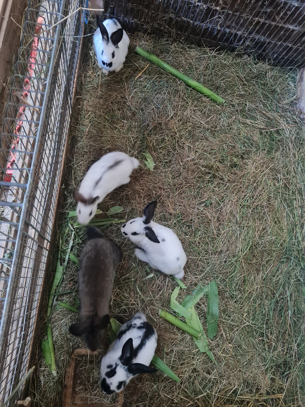 Suitable place for travelers or campers