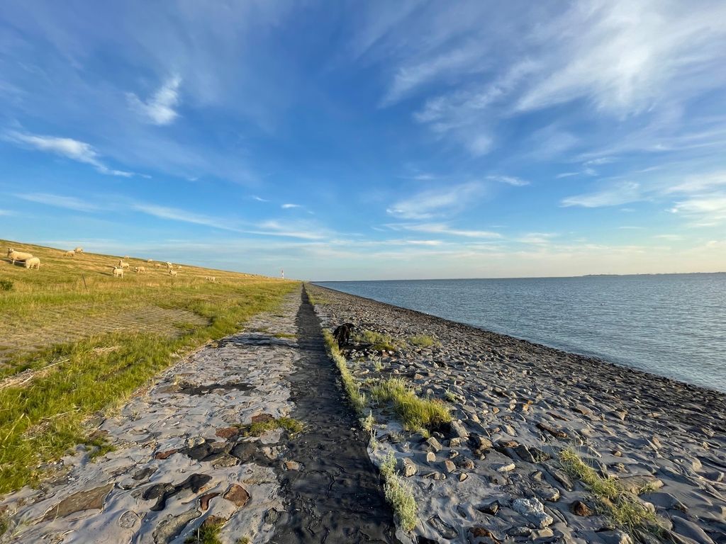 Parcela agrícola junto al Mar del Norte: paz y naturaleza
