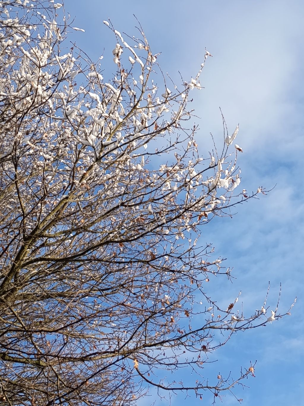 Rustikaler Bauwagen im Grünen 