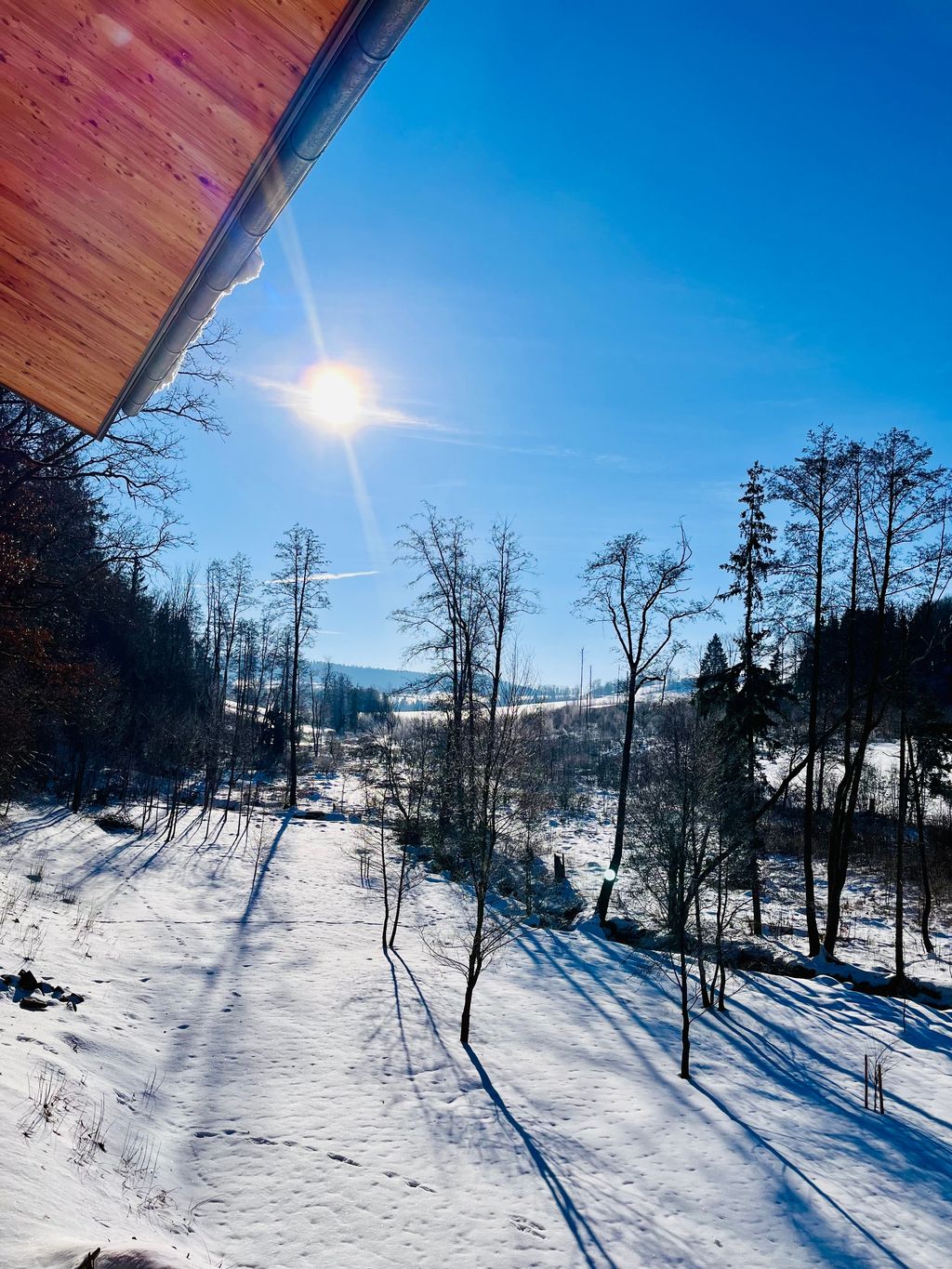 Camping junto al arroyo en una idílica ubicación aislada