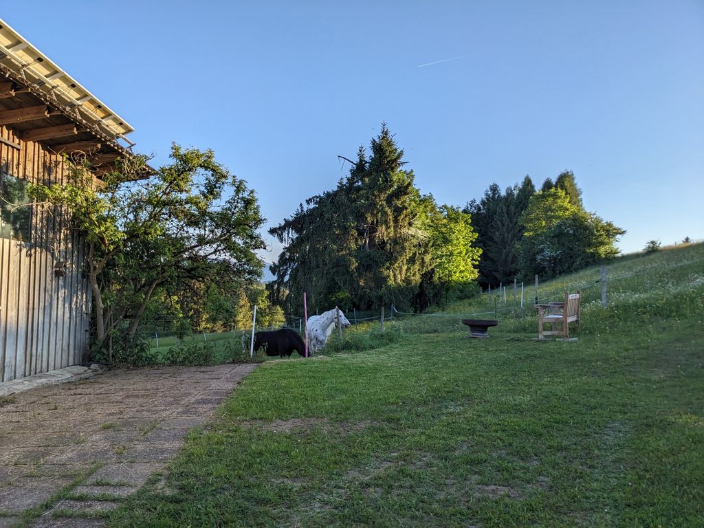 Stellplatz auf dem Bauernhof bei den Pferden