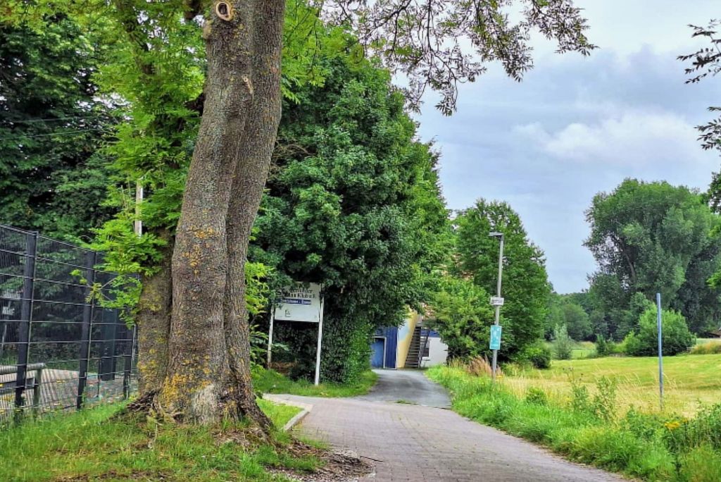 Prairie naturelle au bord de la rivière : canoë, vélo et culture à Herford