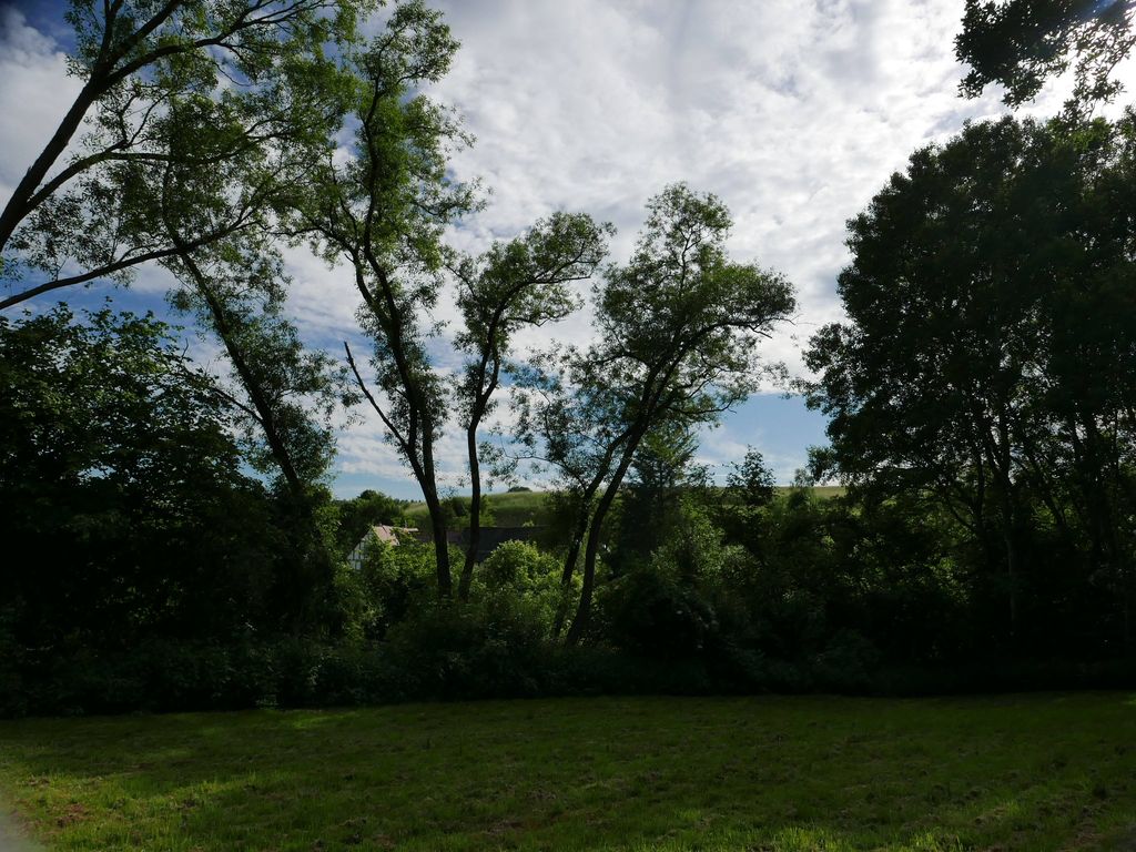 Meadow in the forest in the Siebenmühlental