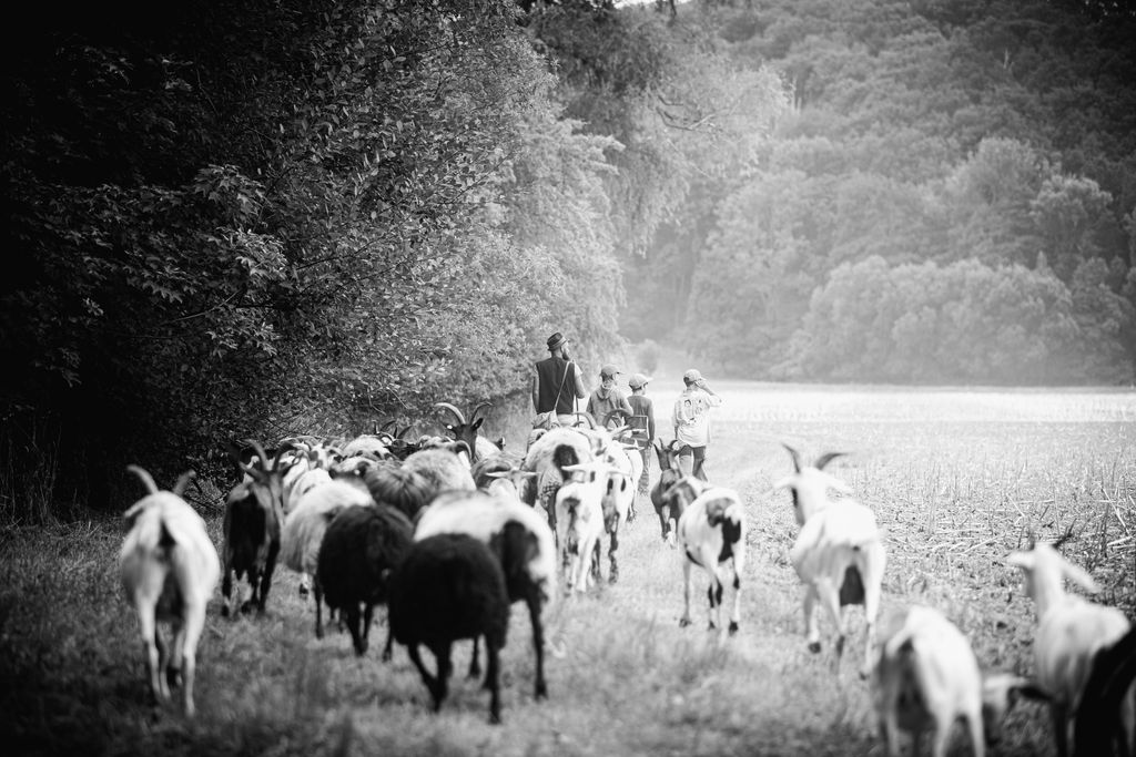 Am schönsten Fleck der Welt auf dem Ziegenhof