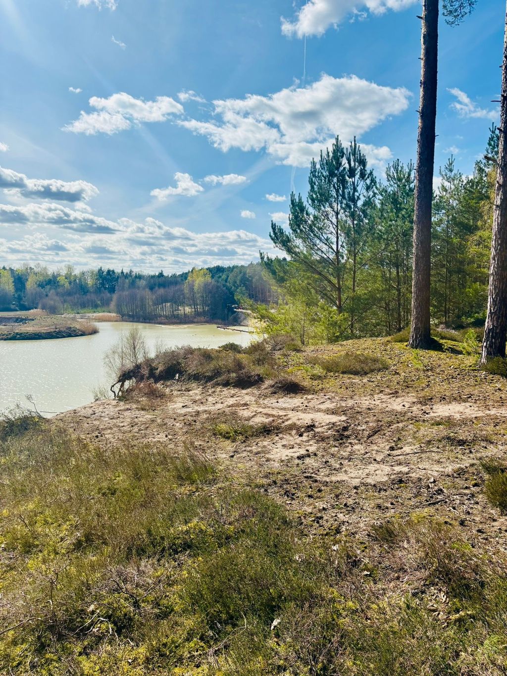 Campeggio vicino al laghetto di una cava verde in mezzo alla natura