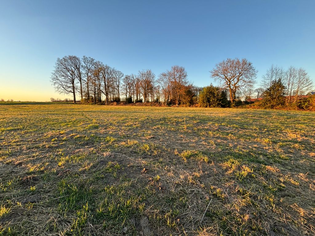 Dein Rückzugsort: Stellplatz in der Natur