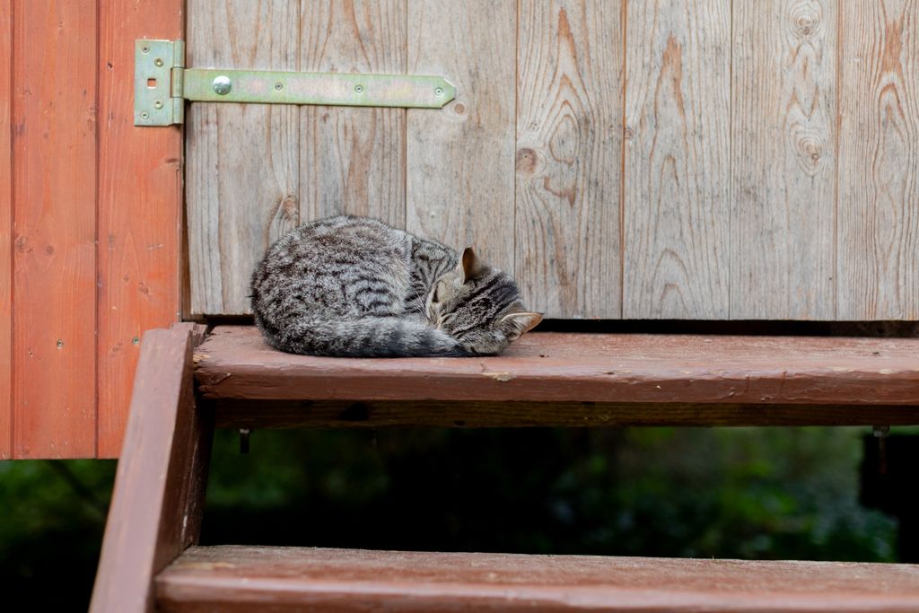 Camping à la ferme – Une pause chez les animaux et dans la nature