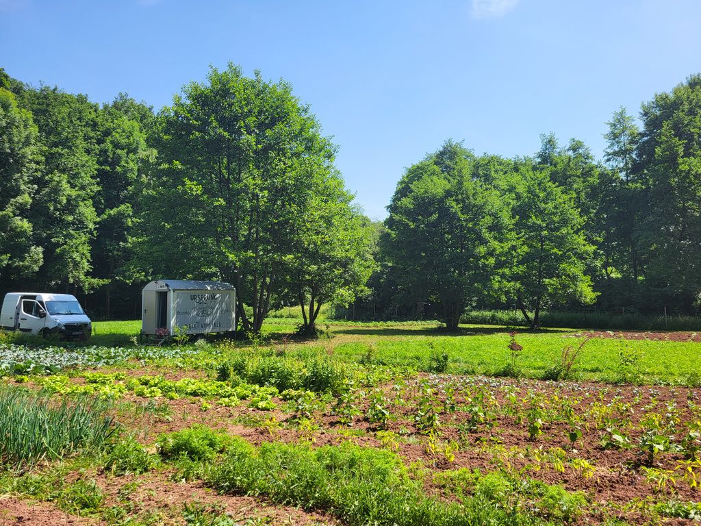Kleine Auszeit zwischen Bio-Gemüse und SlowFlowers