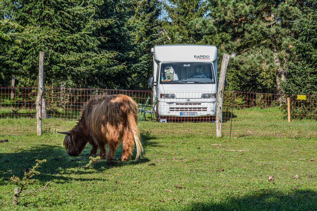 Werderaner Tannenhof | Camping in den Tannen
