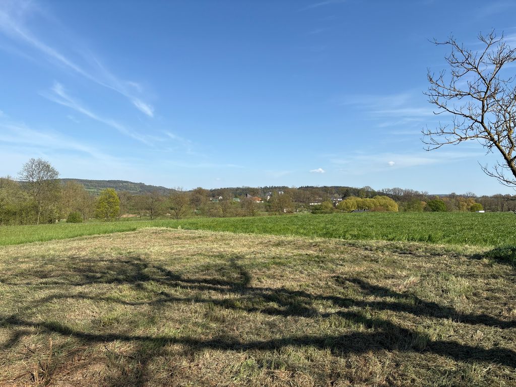Une idylle près du noyer : une prairie bio pour les amoureux de la nature
