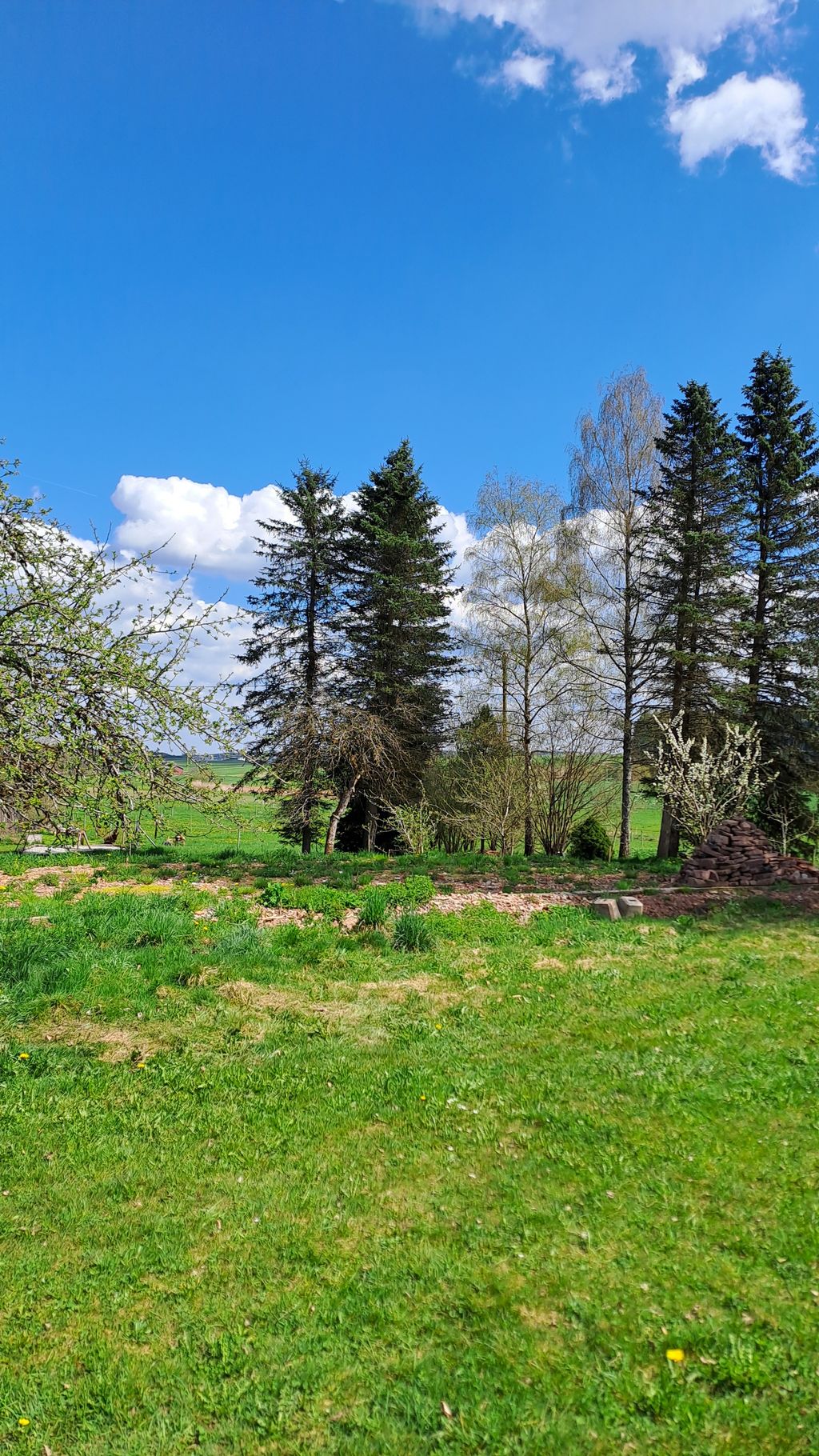 Au cœur de la Forêt-Noire, sans fioritures