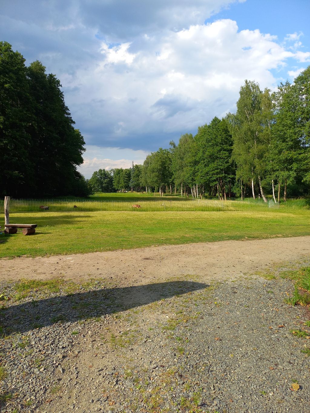Camping in the Spreewald - paddling and fishing
