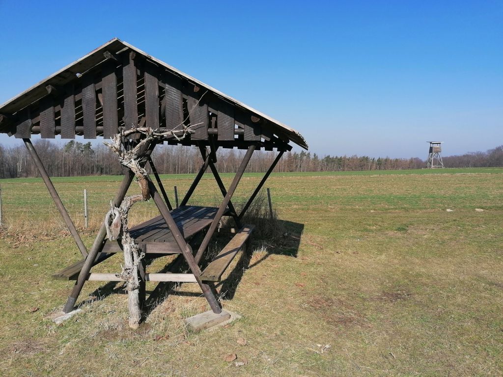 Ein 2000 Jahre alter Schlafplatz