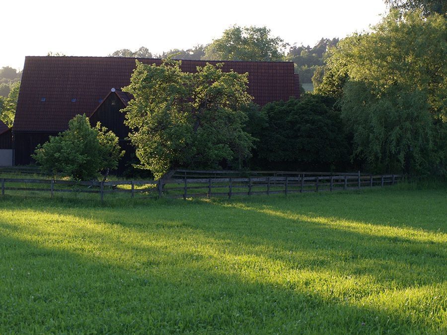 Weitblick in der Gartenbaumschule Engelhrdt