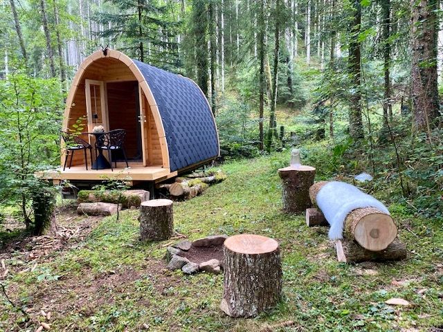 Black Forest Idyll: Self-Sufficient Forest Cabin in a Clearing