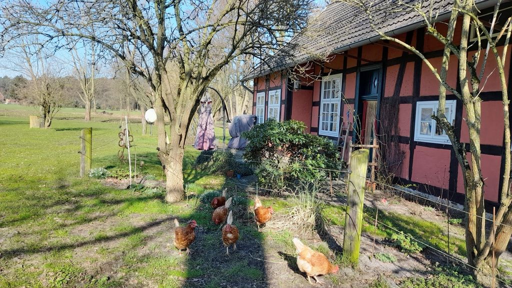 Camping under oak trees on the farm "Hofglück