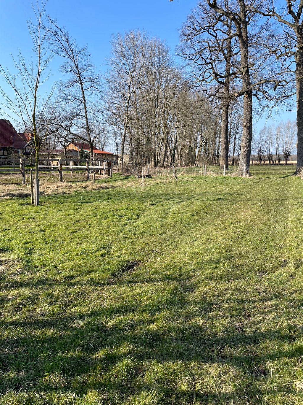 Recreation on an old cottage