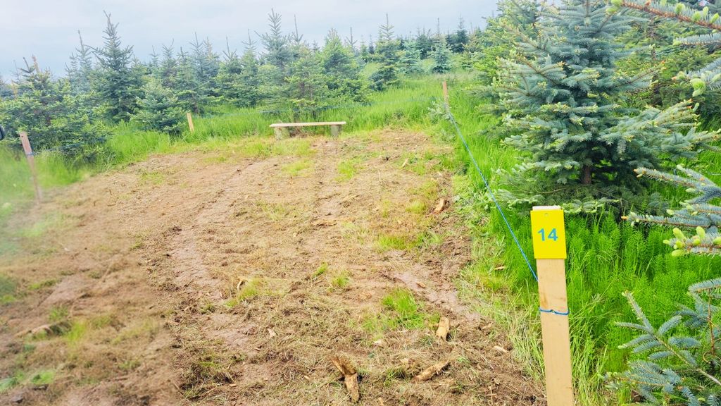 Camping in den Tannen | Umpferstedt