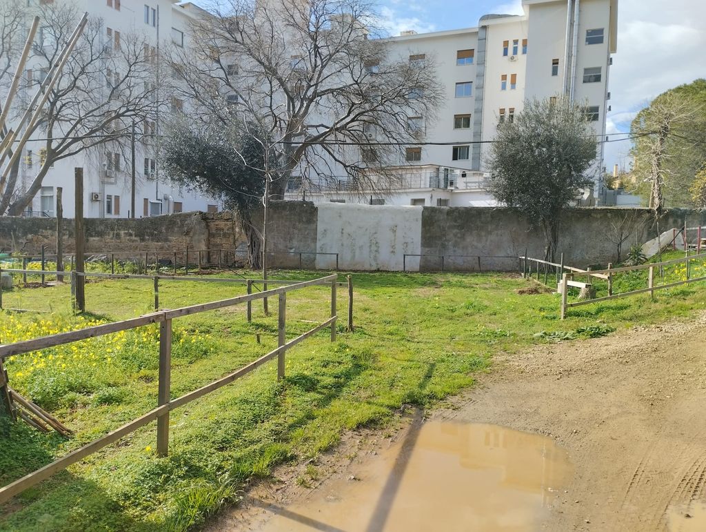 Biologische Oase in der Stadt Palermo