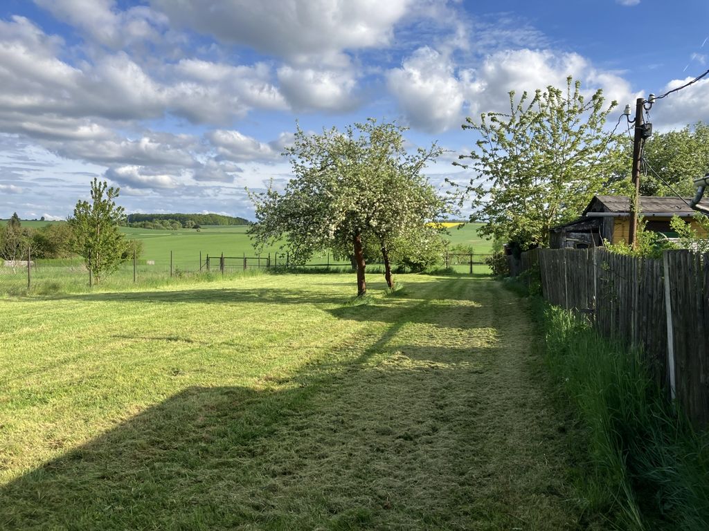 Nature with a view between the fruit trees