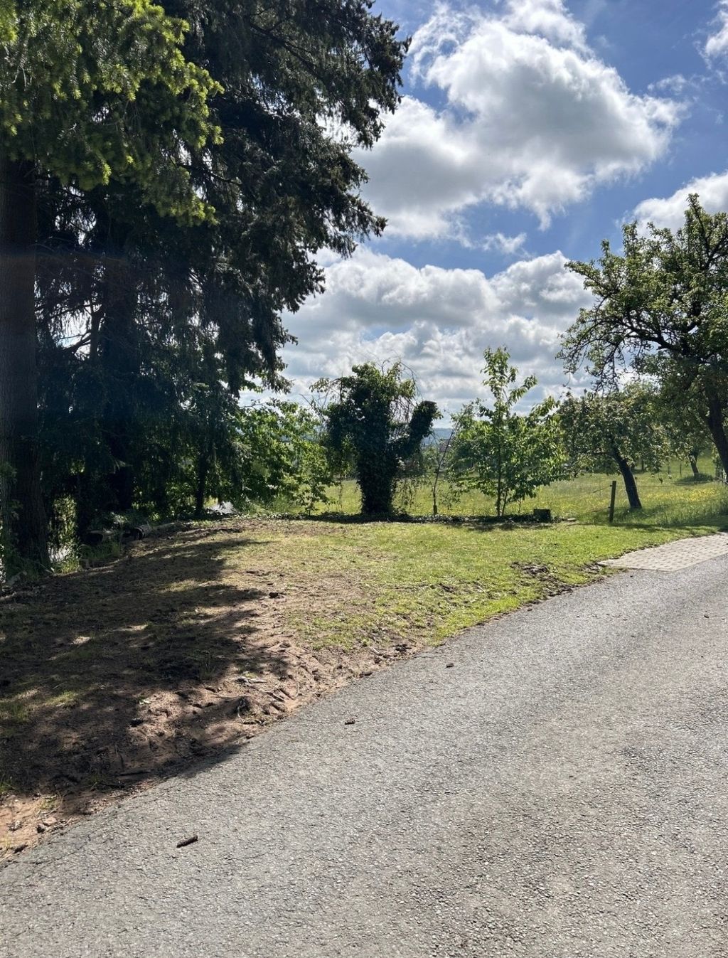 Piazzola immersa nel verde: Waldrand Hofcamp