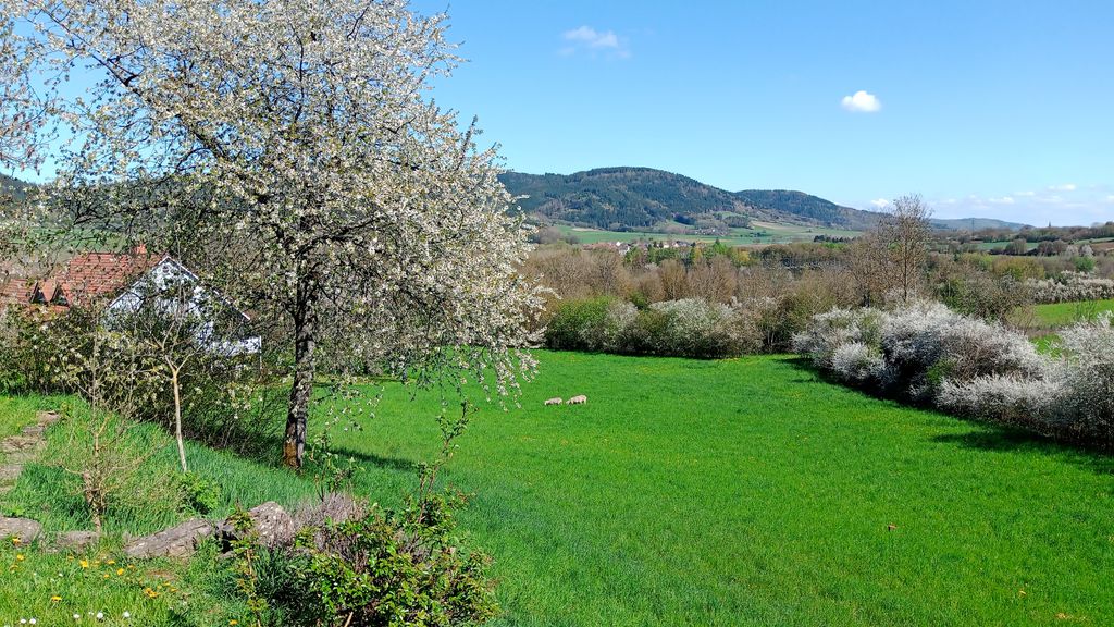 A las puertas del bosque de Franconia
