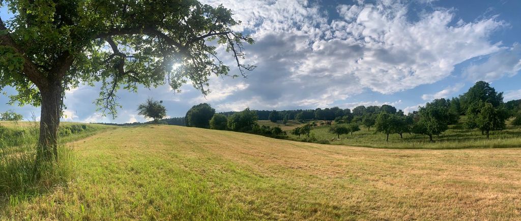 Panoramablick auf den Spessart