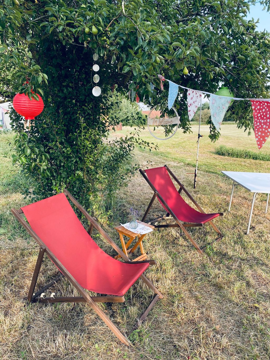Green, idyllic meadow in beautiful Middle Franconia