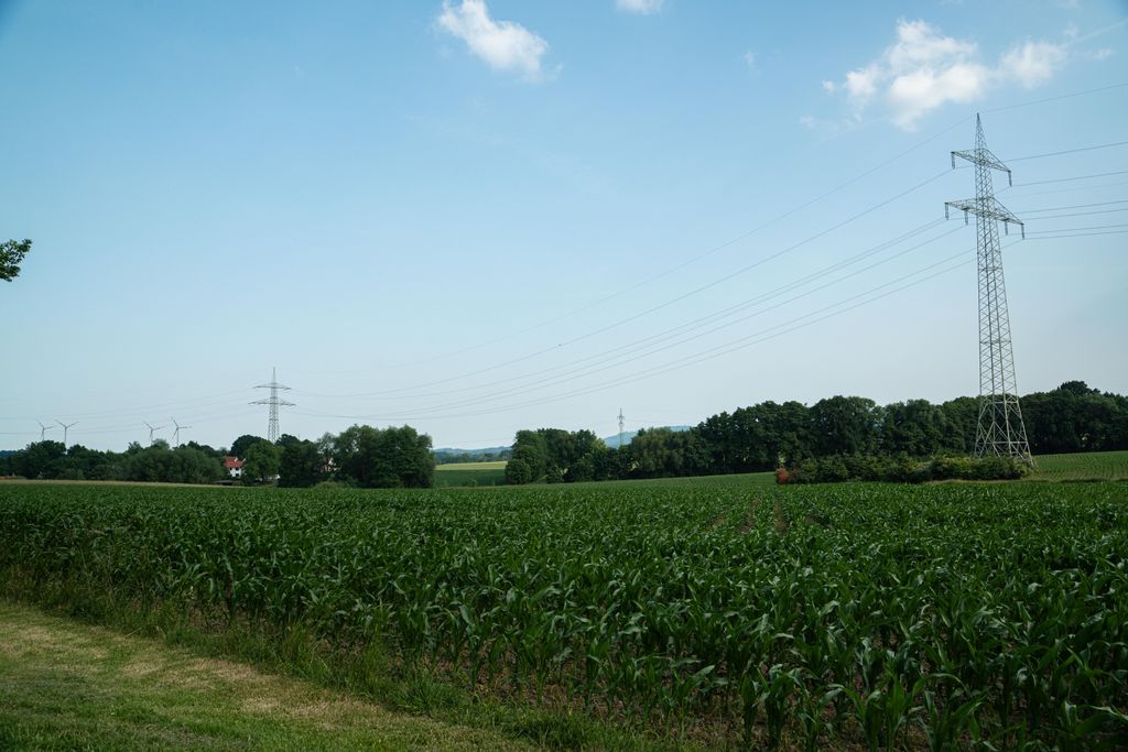 Natur pur – ruhiger Stellplatz für entspannte Tage