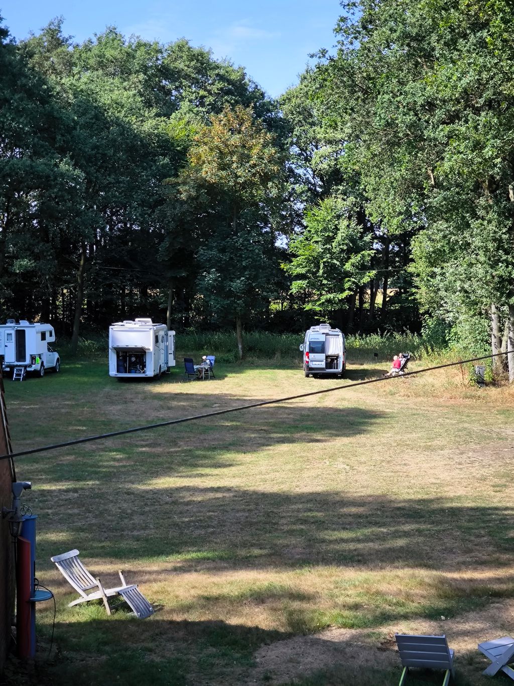 Disfrute y relájese en la granja de alpacas