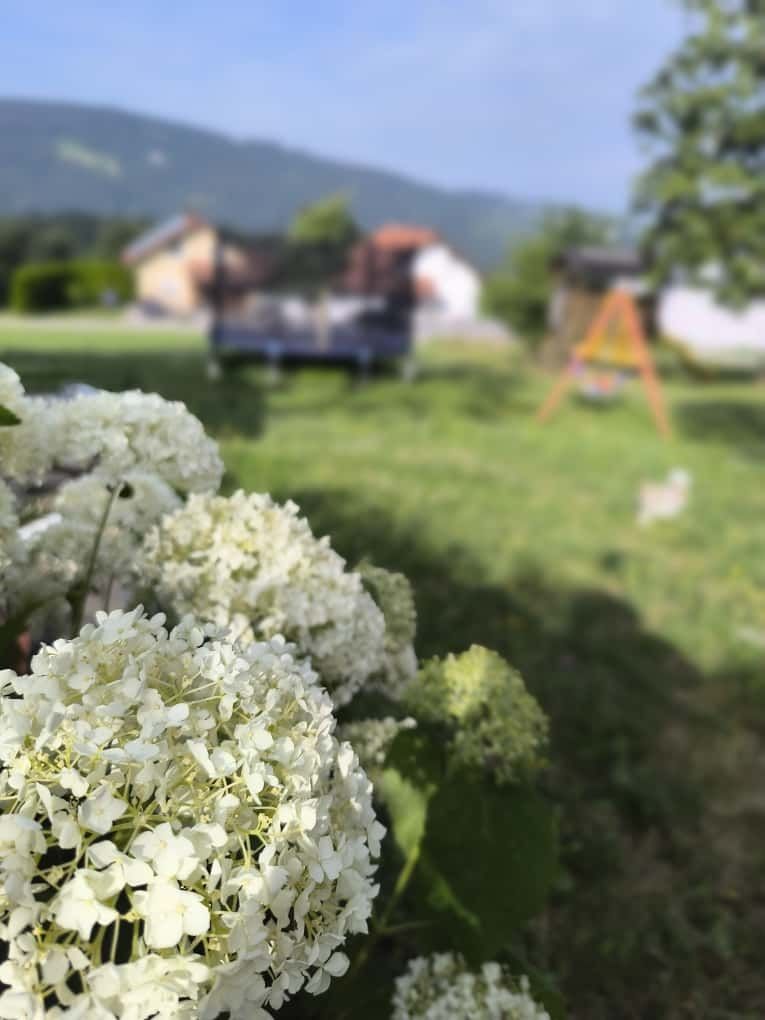 Naturcamp auf der Donauleiten Höhe mit Weitblick