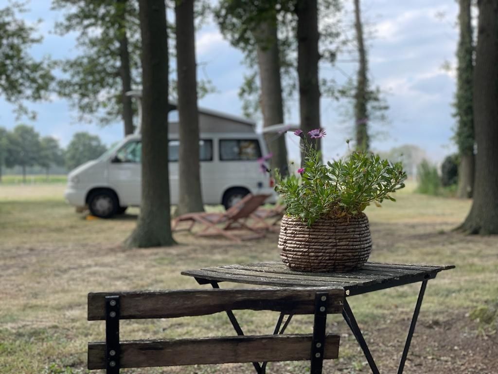 Camping in the western Münsterland (without bath)