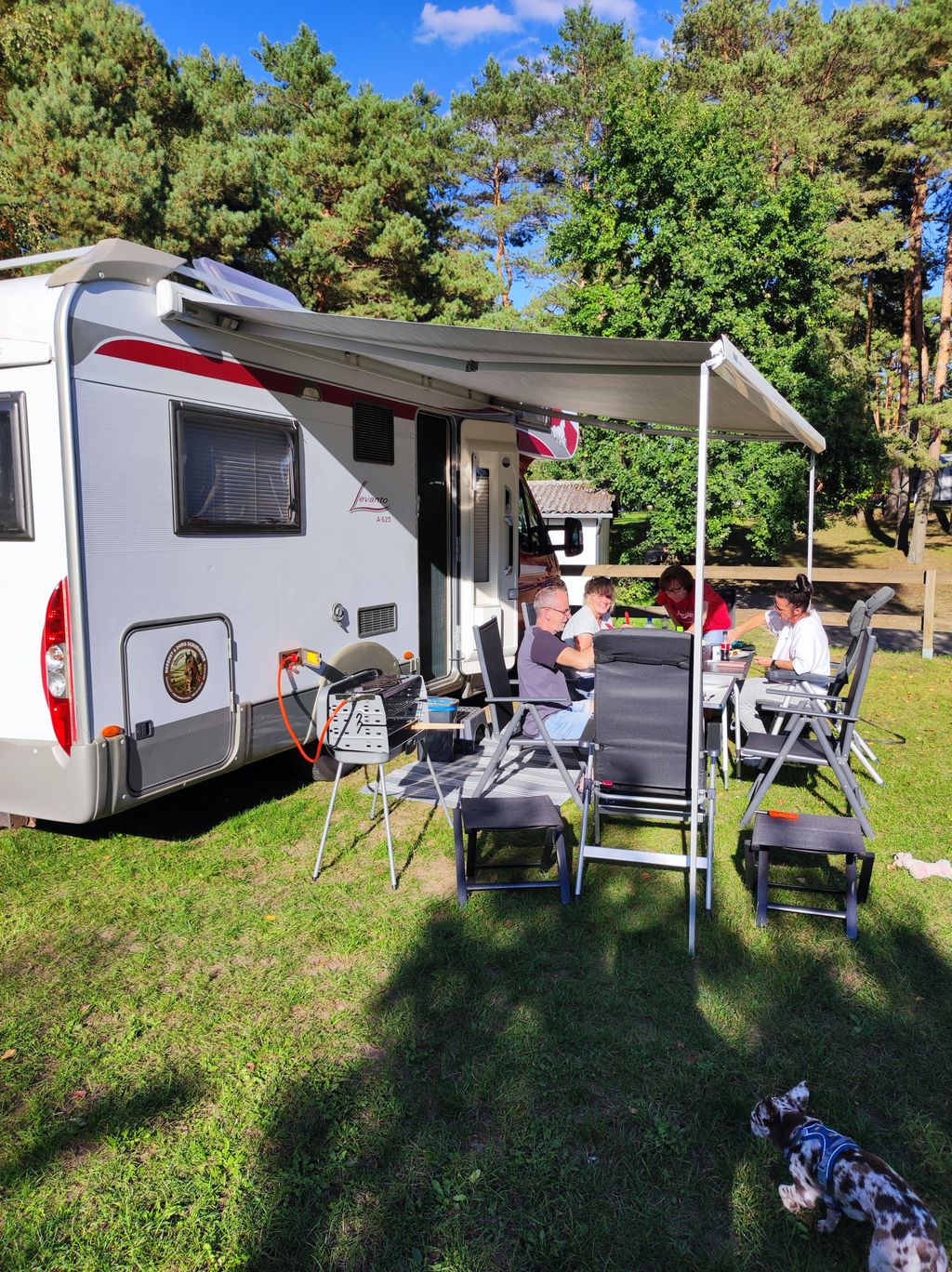 Urlaub bei Freunden auf dem Pferdehof 