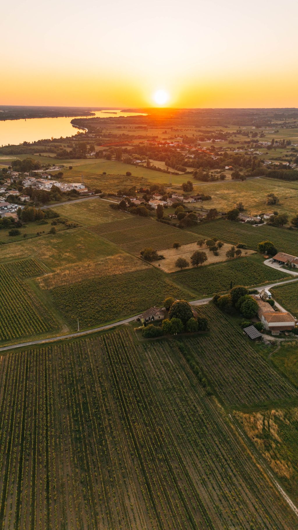 Weinverkostung & Übernachtung mitten im Weinberg