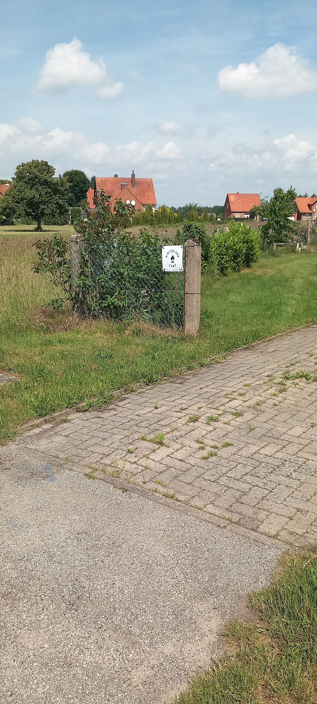 Sonnenbaden auf der Wiese, mit Hase und Elster 
