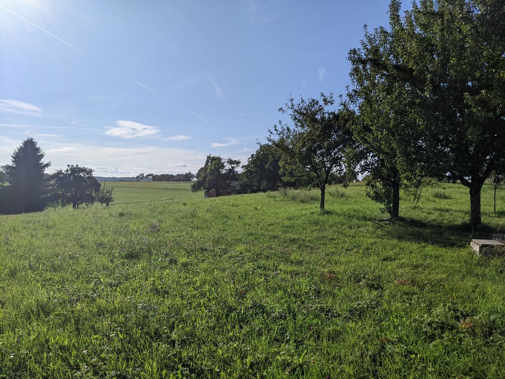 Swabian Alb: Field, forest and meadow