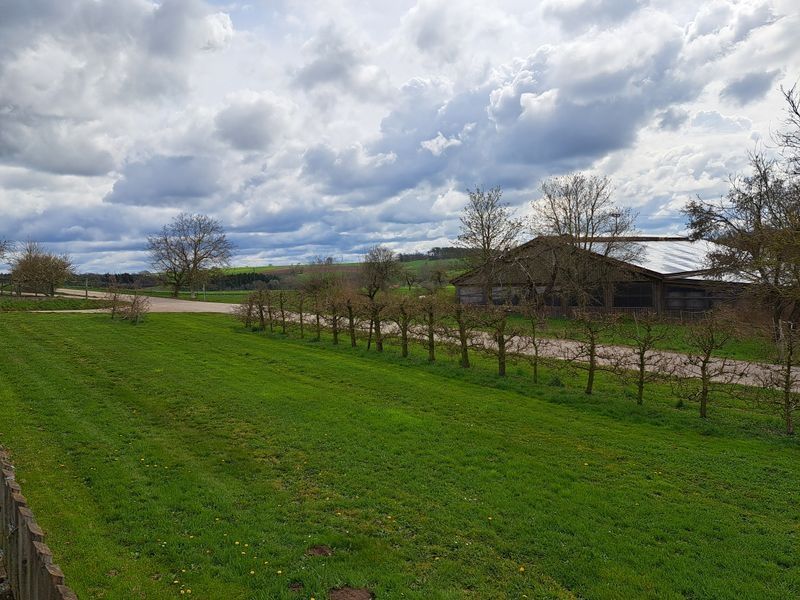 Un tempo meraviglioso nel villaggio delle ciliegie