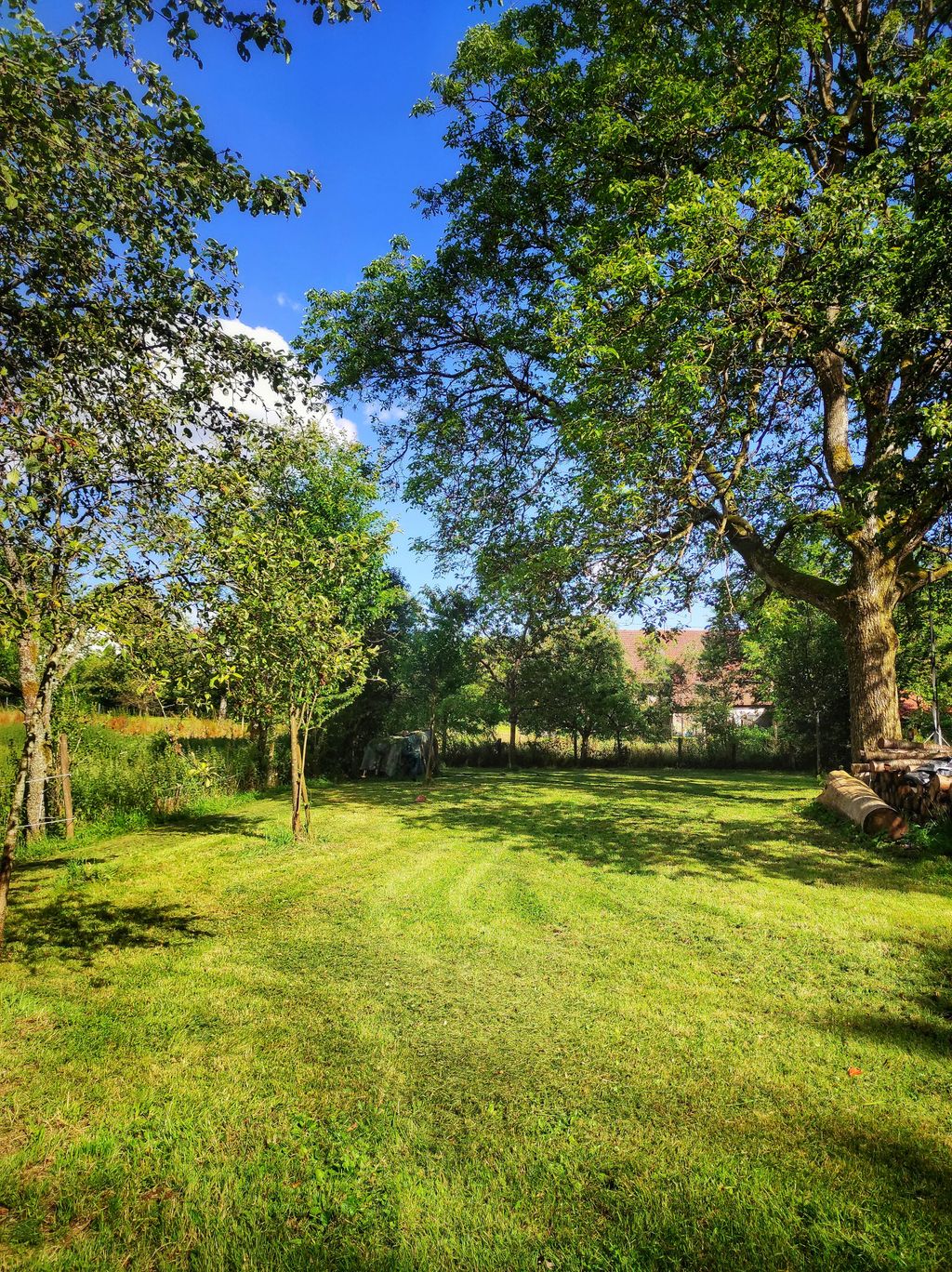 A place in the green under a walnut tree