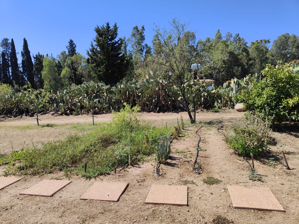 Pause numérique - Tiny House Retreat Sardaigne